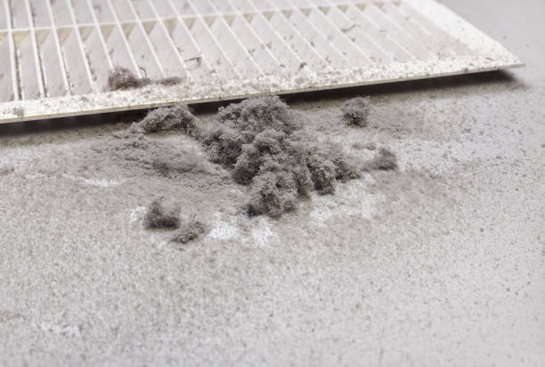 Best Air Duct Cleaning Company Near Me  in Ddleville, MI