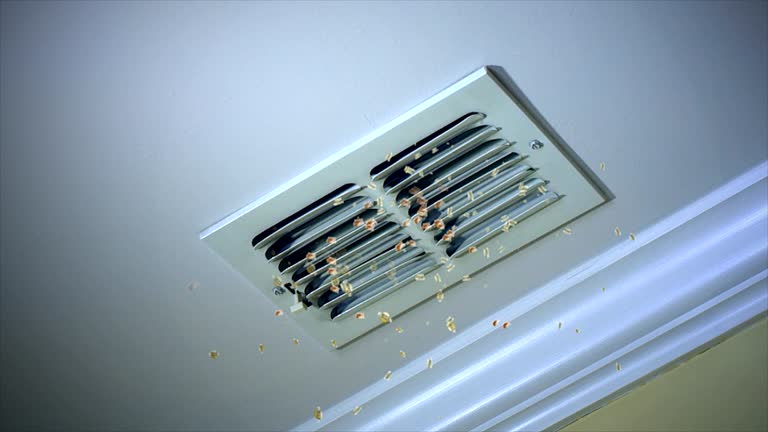Best Emergency Air Duct Cleaning  in Ddleville, MI