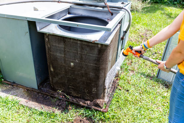 Best Affordable Duct Cleaning Services  in Ddleville, MI