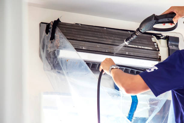Best Affordable Air Duct Cleaning  in Ddleville, MI