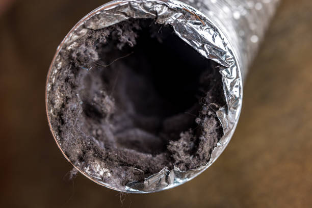 Best HVAC System Cleaning  in Ddleville, MI
